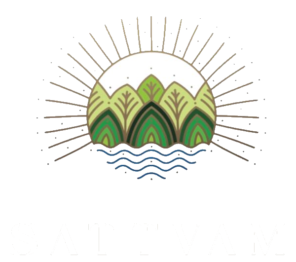 Krishna Sattvam